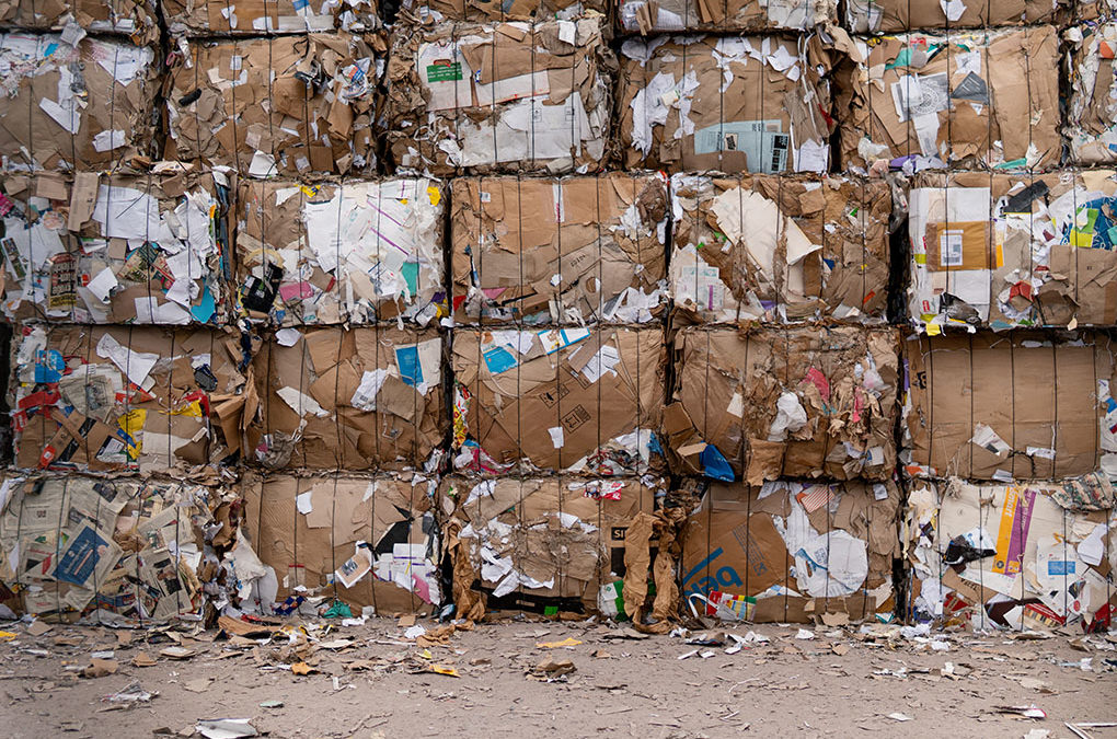 Biologiczne przetwarzanie odpadów – zagrożenia dla środowiska